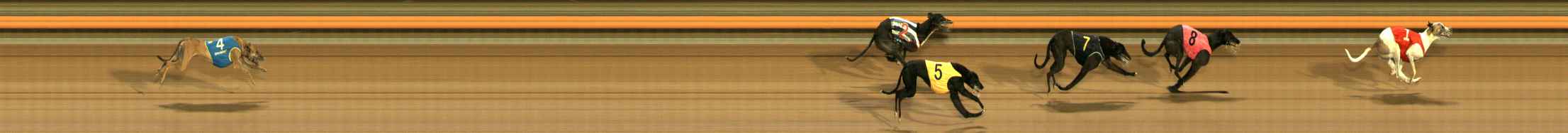 Race result finish photo